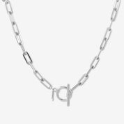 Silver Link Breaker Necklace