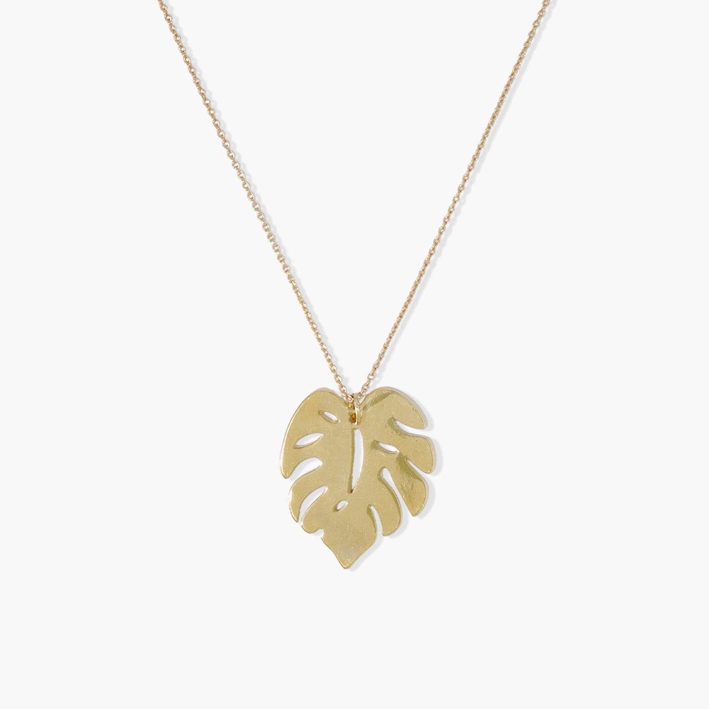 web-smallpalm-necklace-2-removebg.png