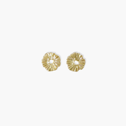 Dainty Sun Burst Studs